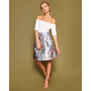 Size 4 Ted Baker Dress BRAND NEW